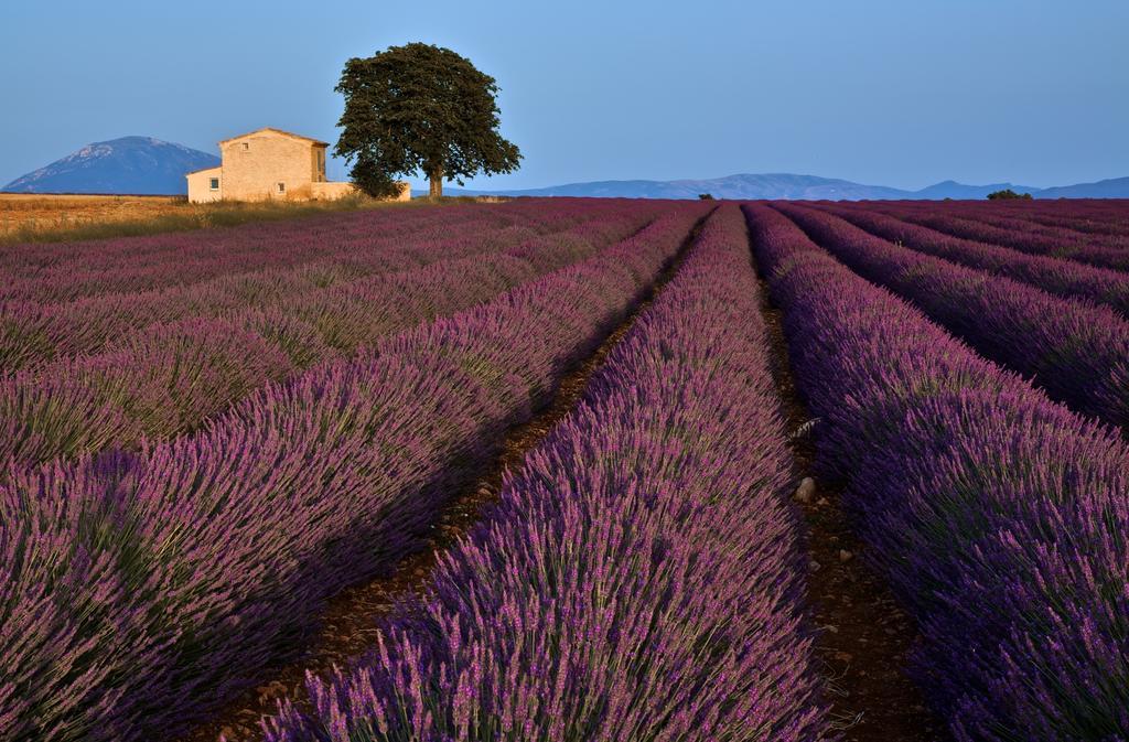 La Maison Des Collines Allemagne-en-Provence Exterior photo